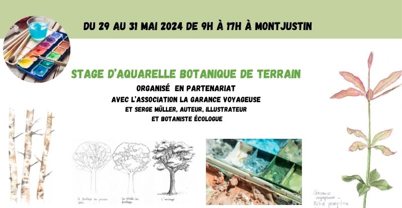 Stage d’aquarelle botanique du 29 au 31 mai 2024