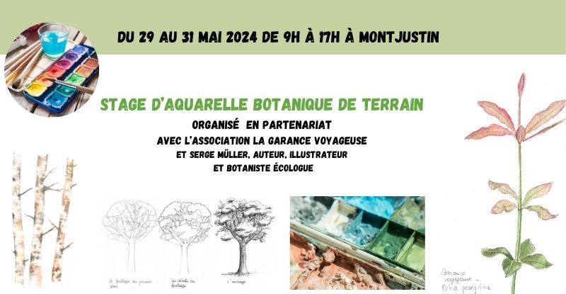 Stage d&rsquo;aquarelle botanique du 29 au 31 mai 2024